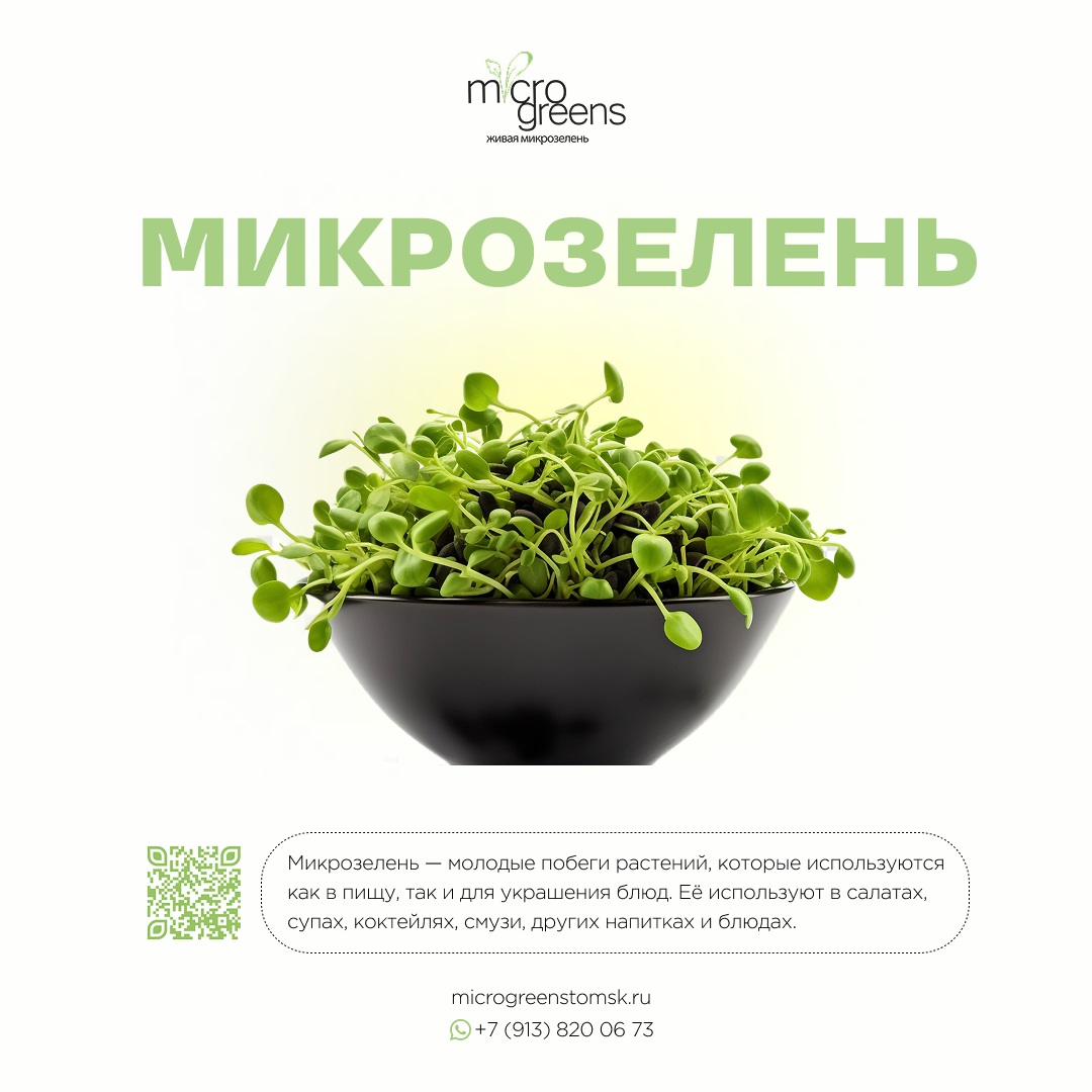 микрозелень_Томск